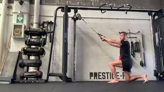 Half Kneeling Cable High Row