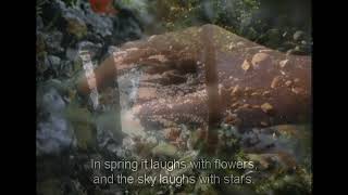 Billie Marten - Mice