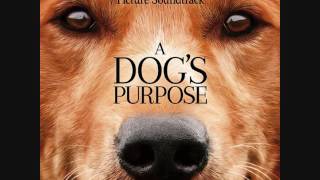 Rachel Portman - Ethan Plays Ball With Bailey A Dogs Purpose, Usa - 2017