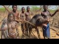 Witness Hadzabe Tribe Incredible Lifestyle Still Surviving In The Forest 