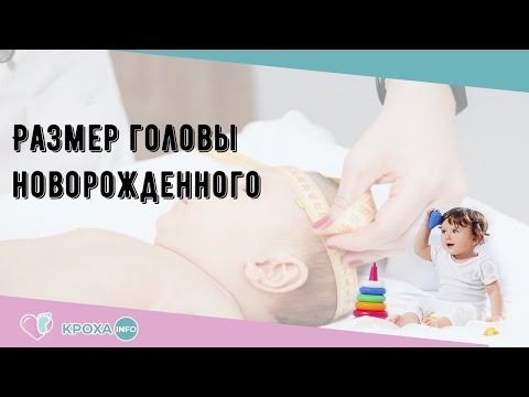 Размер головы новорожденного