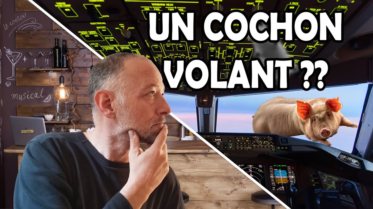 LE COCHON VOLANT DE PINK FLOYD !  le contoir musical