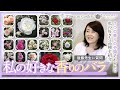 【バラの品種紹介】系統別 私の好きな香りのバラ