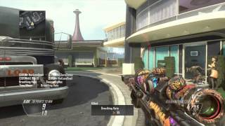 Sick FFA Leftover