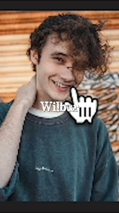 What happened to Wilbur Soot?