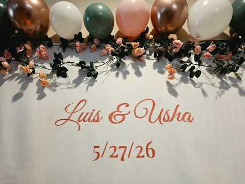 Luis  & Usha   The Wedding