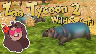 Zoo Tycoon 3: Hippopotamus 