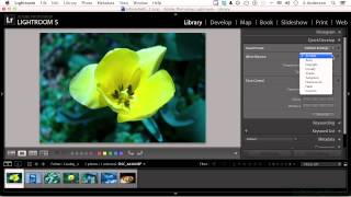 Adobe Lightroom 5 Tutorial | Working In Quick Develop Wealth