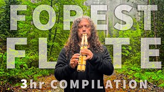 NATIVE AMERICAN FLUTE (3 hrs) Compilation #1 Meditation Inner Peace Music