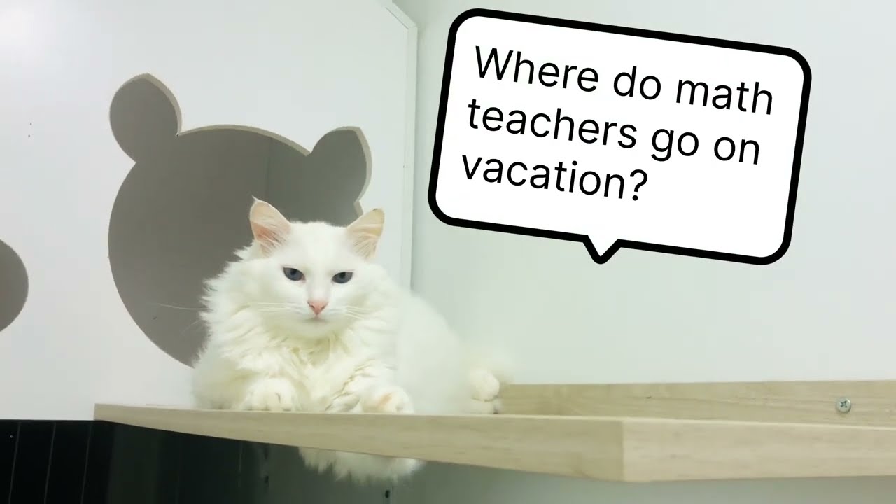 Where Do Math Teachers Go On Vacation YouTube Where Do Math Teachers Go On Vacation YouTube