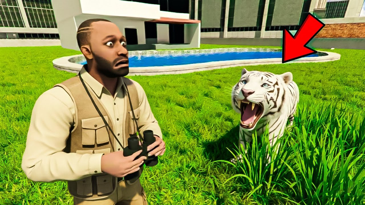 Franklin Searching Rare White Tiger In Indian Bike Driving 3D | GTA 5