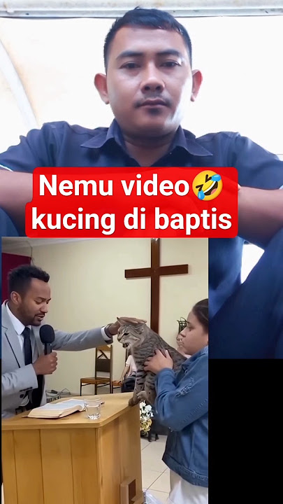 when the cat was baptized, it was thought to be a robber