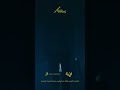 Shorts يا طير يالي رايح مكانه Shorts يا طير يالي رايح مكانه