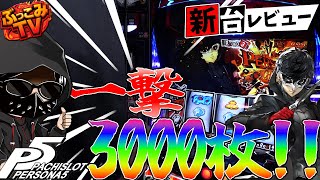 Sペルソナ5】全6グラフ公開！一撃3000枚に挑んだ結果【店長シャルの