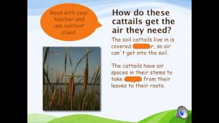 Introduction to Plant Adaptations