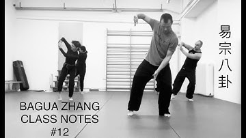 BAGUA ZHANG - Class Notes #12 // 25. January 2022