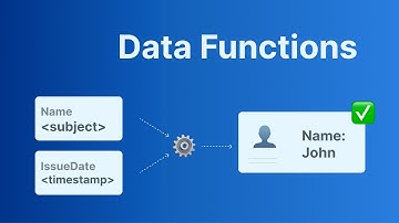 Intro to Data Functions | walt.id Issuer API
