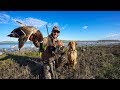 Insane North Dakota Mallard Duck Hunt!! (8 Man Limit) MUST WATCH!!