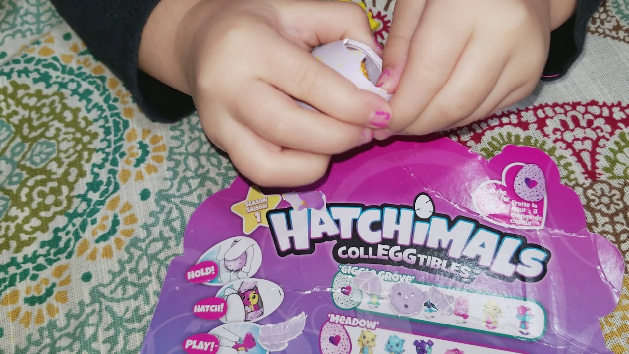 Hatching a Rare Hatchimal!