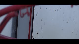 Mystery Droplets Plaguing East Las Vegas Neighborhood Tested As Bee Feces