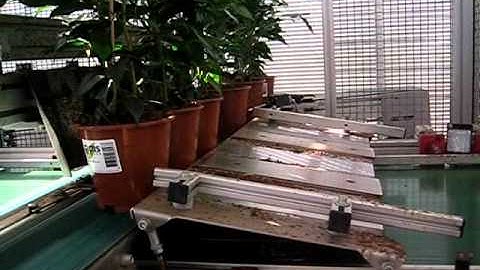 Tray Buffer Systeem / Tray Buffering System