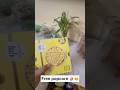 Popcorn🍿#youtubeshorts #shorts #ytshorts #yt #shortvideo #shortsviral #explore #popcorn #divyabisht