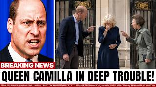 Princess Anne JOINS Forces With William To AVENGE Diana! Camilla FACES Her DARKEST Day In Years!