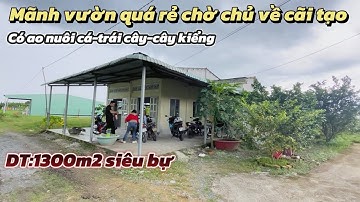 Siêu khủng mãnh vườn(1300m2)có nhà cấp 4 ao nuôi cá-cây ăn trái-cây kiểng |Minh chiến nhà ngộp 