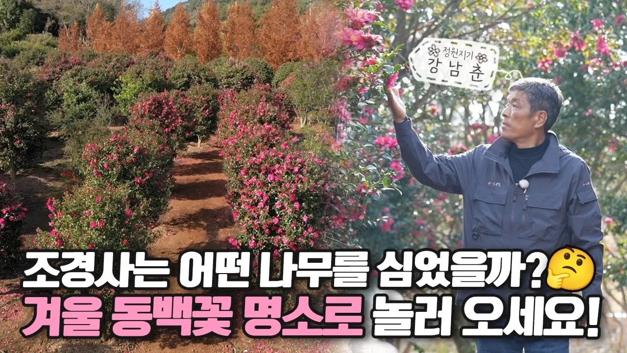 오랫동안 꿈꿔온 나무 정원 A Long-Cherished Tree Garden | 정원의 발견 Wonders of Garden | KBS제주20231229 방송