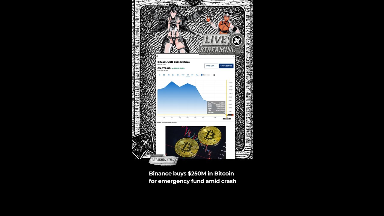 🚨 Binance DROPS $250M on Bitcoin DURING CRASH! (6K BTC Scoop) 😱