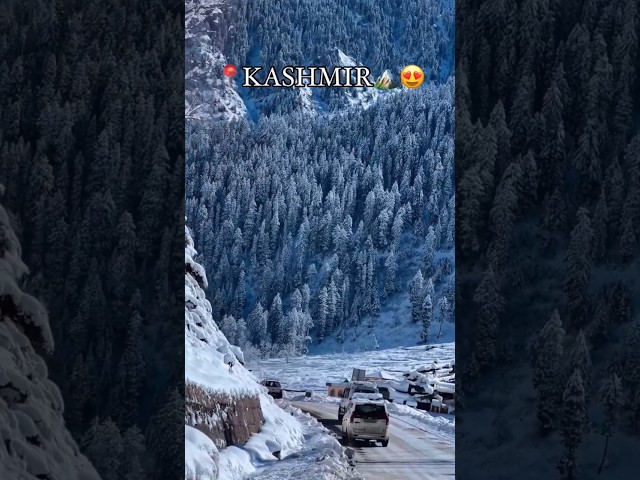 Kashmir Switzerland #snow #new #viral #trending #song #shorts class=