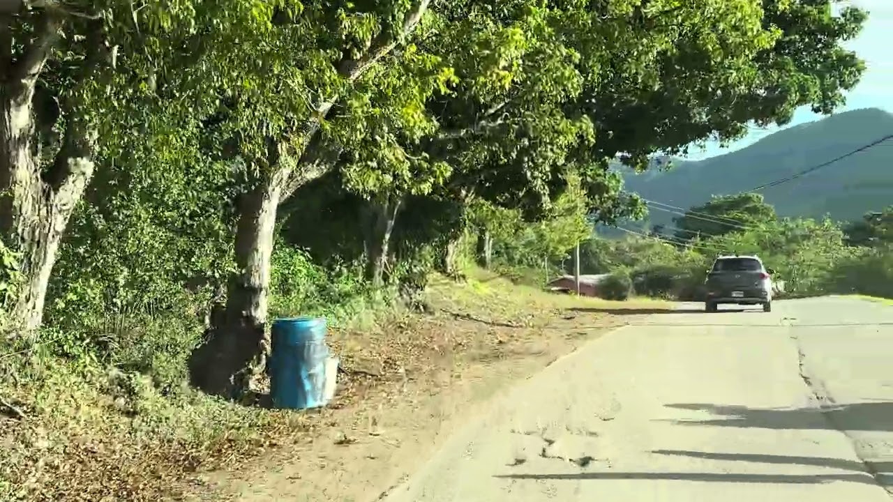 Driving Antigua and Barbuda | Pearns Point to St. John’s |December 18, 2024