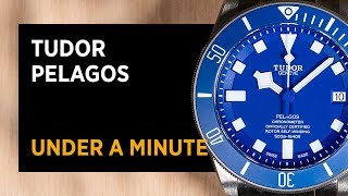 Tudor Pelagos M25600TB-0001 | Under A Minute