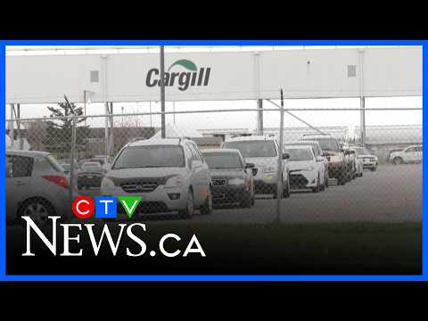 Response to Alberta COVID outbreak a 'catastrophic failure': report