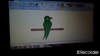technical nitish ray