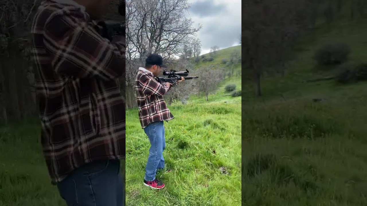 Ruger precision rifle 338 Lapua