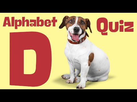 ABCD | Vocabulary