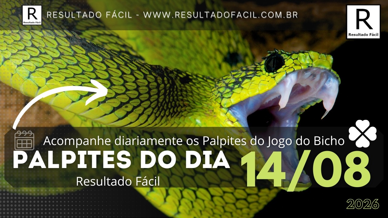 Palpites do dia Jogo do Bicho para o dia 14/08/2026