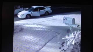 Thief steals weedeater