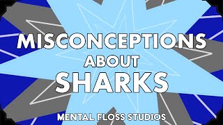 Misconceptions About Sharks | Mental Floss