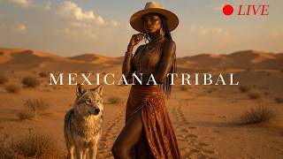 Live Afro House Mix 2026 🥁 The Best of Afro House | Latin Afro &amp; Tribal Vibes Experience 🥁🥁🥁