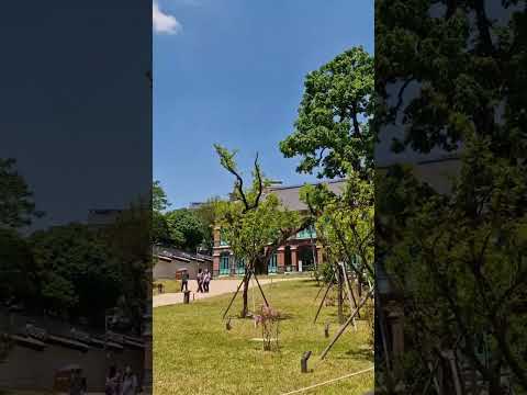 덕수궁