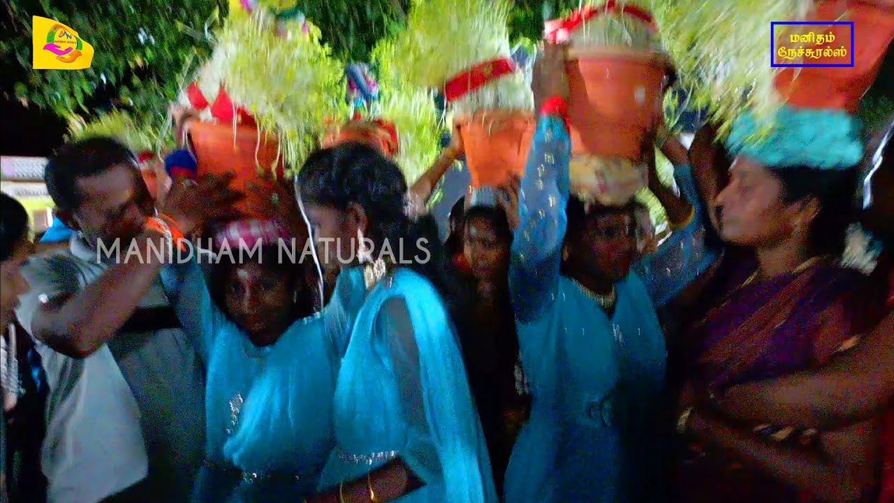 நக்கனேரி பெண்கள் அம்மனுக்கு முளைப்பாரி எடுத்து செல்லும் காட்சி 🔥🔥|| Nakkaneri Amman Kovil Kodai 2023