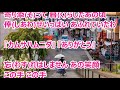 東京ひとりぼっち/三代沙也可 カラオケ