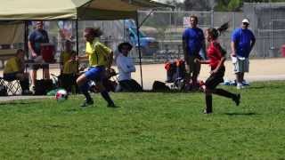 SJ Fusion Spring 2013 slideshow