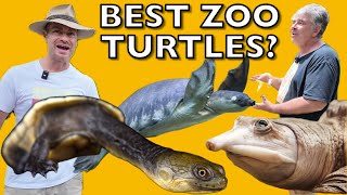 Kamp Kenan Helps Me Select My Zoo Turtles.