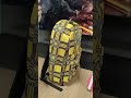 84679   Mochila Harry Potter Lufa Lufa