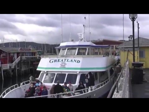 Whale Watch Gone Wrong!