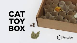 Make your own cat toy at home with these easy instructions for to create a cat toy box. Anyone should be able to create this simple 