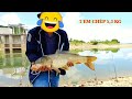 Săn Được 2 Em Cá Chép TO BỰ ở Hồ Thuỷ Điện Tự Nhiên - Bài Mồi Câu Cá Chép Cụ Siêu Nhạy